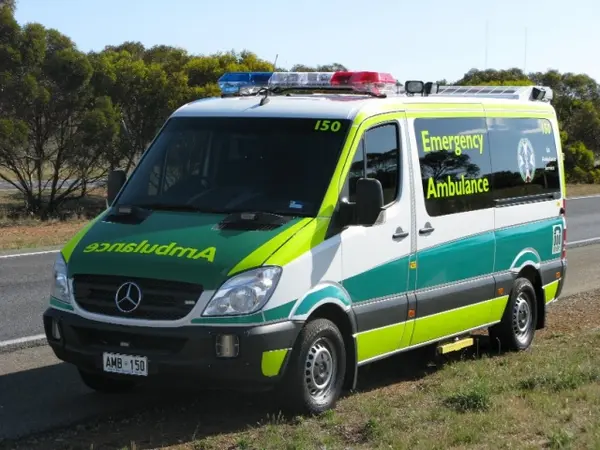Livery 2008 1